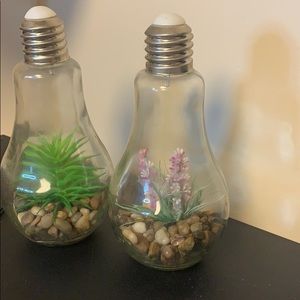 Trendy Lightbulb Succulent Plant Decor